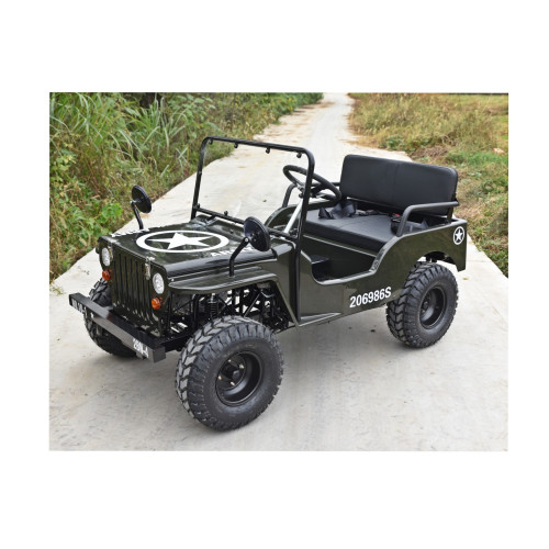 Mini Jeep 125cc 7.5CP cu marsarier 3 viteze off-road pentru copii si adulti Cod: JW1101-125