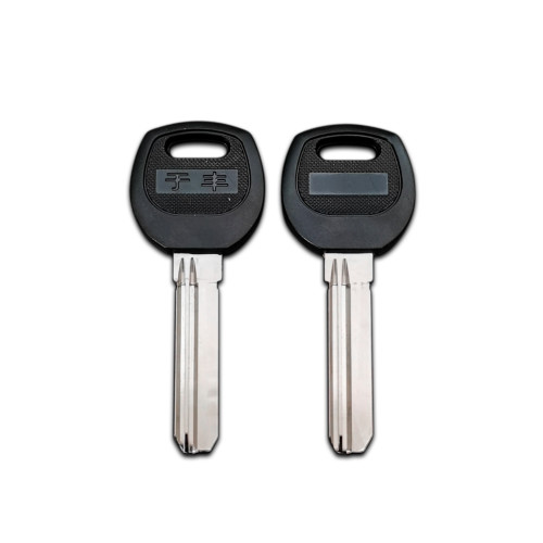 Cheie casa universala metalica Cod: D144